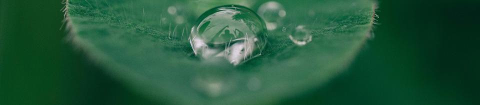 Sustainability and the Concept behind it 