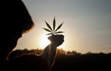5 Reasons why Hemp is the Future of Sustainability 