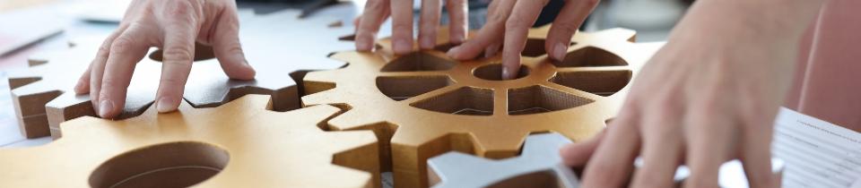 3 Things You Didn’t Know About FLM Textil