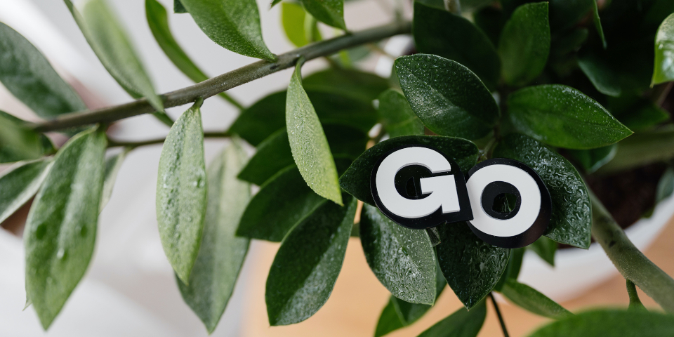 Go Green written in a tree