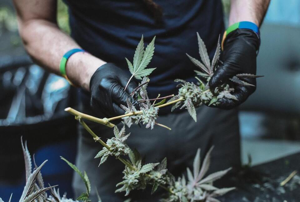 Organic growth