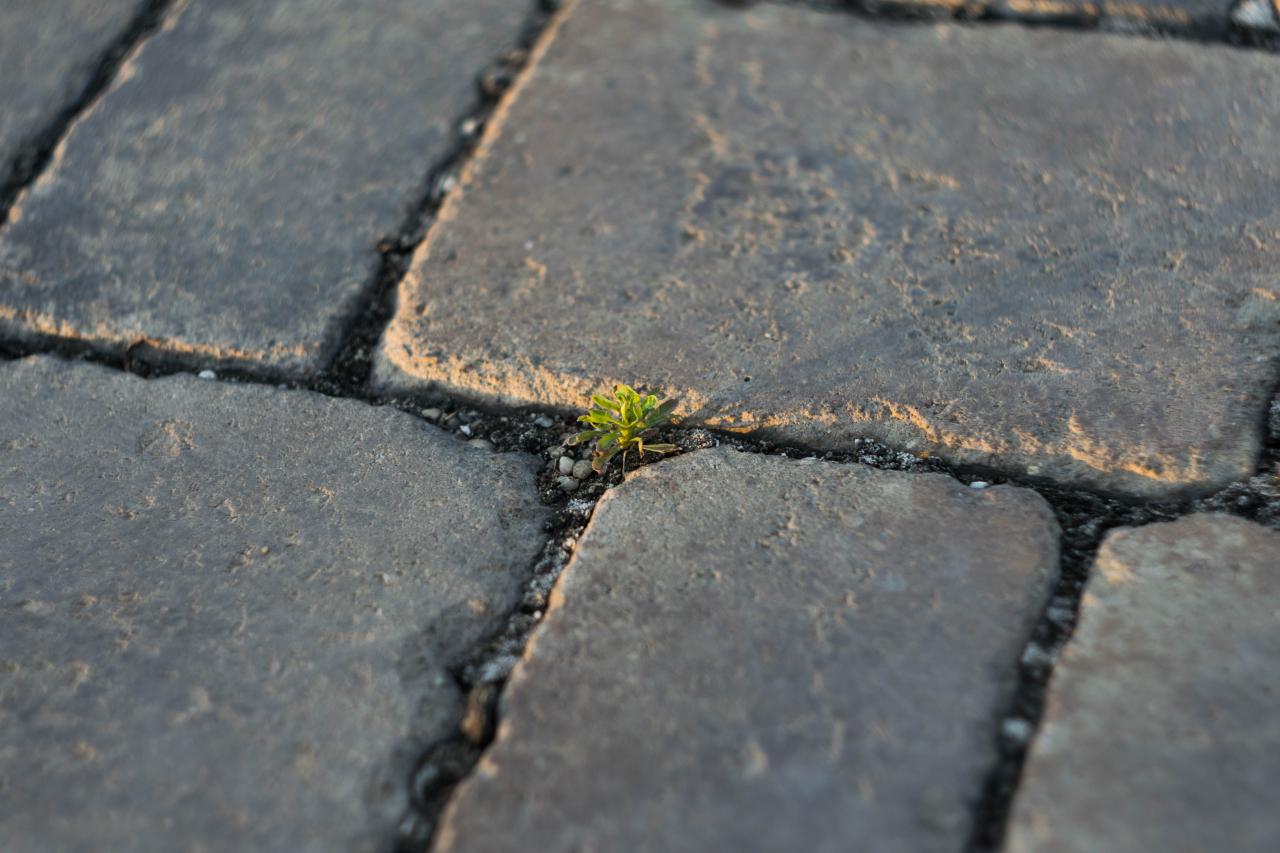 Make the Rules - Photo by Imre Tömösvári on Unsplash